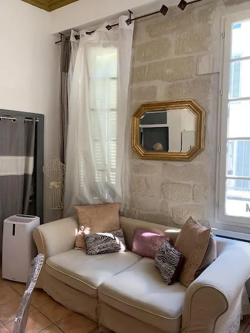 Magnifique Appartement Plein Coeur Avignon Intra-Muros Apartment